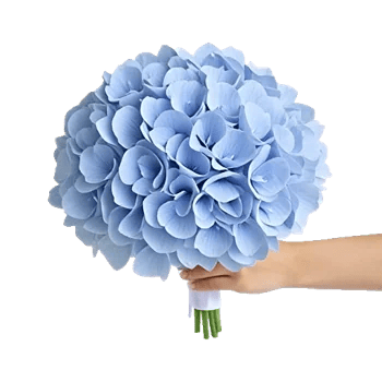 Sapphire Bloom Whisper