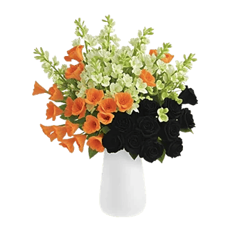 Petal Radiance Bliss