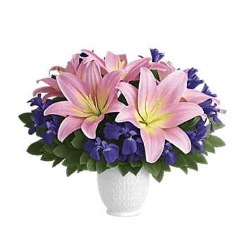 Graceful Lily Display