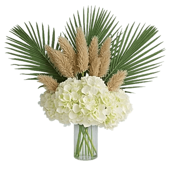 Ivory Blossom Radiance