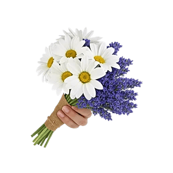 Blossom Petal Serenity