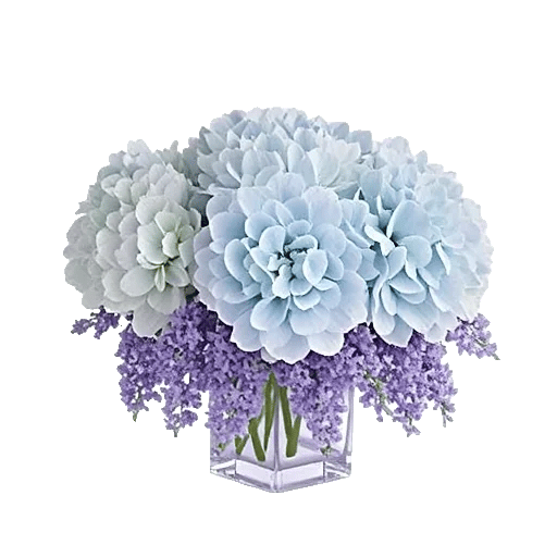 Sapphire Bloom Whisper