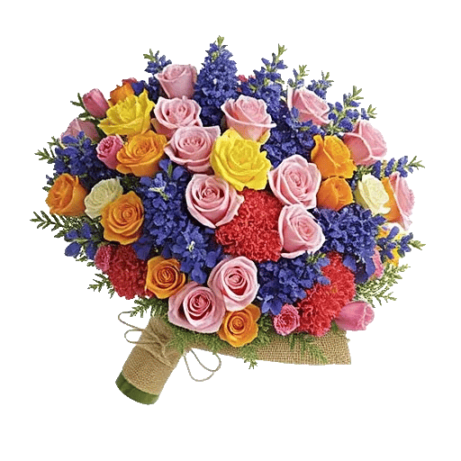 Blushing Rose Symphony