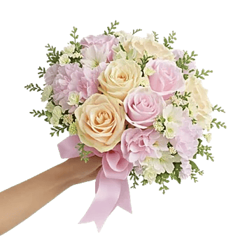 Serene Petal Harmony