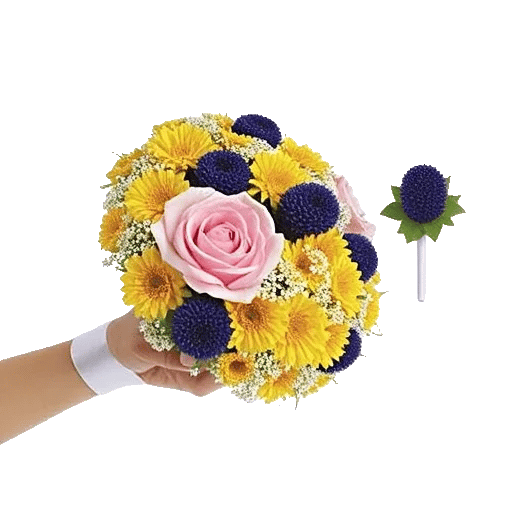 Blushing Rose Symphony