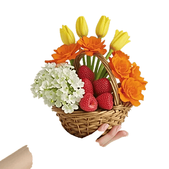 Blossom Harmony Display