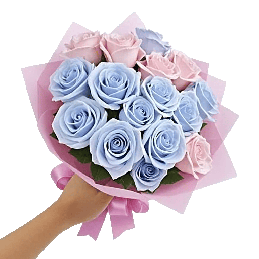 Pastel Pink Roses