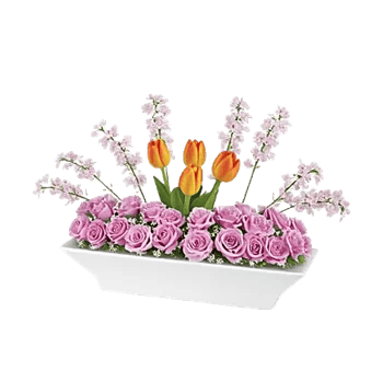 Blossom Glow Symphony
