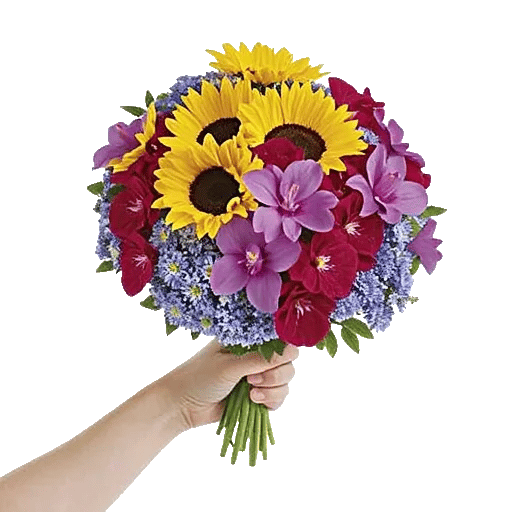 Twinkling Sunflower Dance