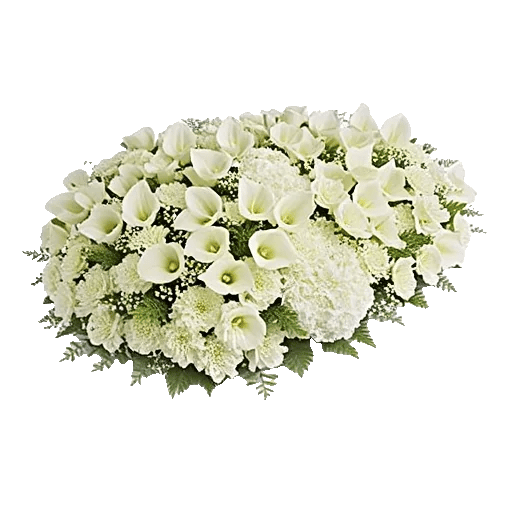 Elegant Calla Lilies