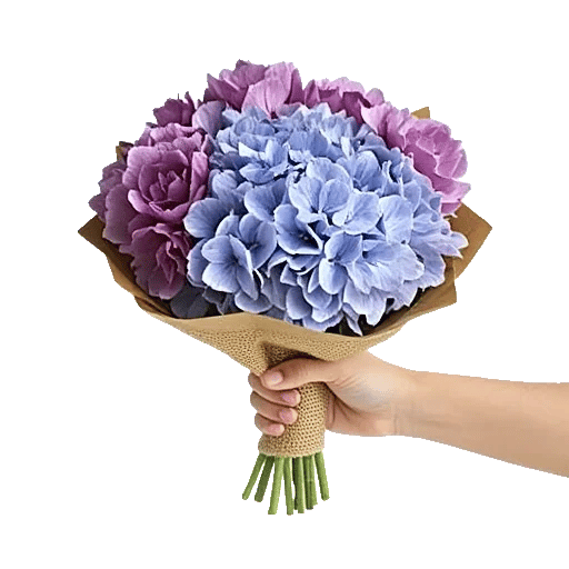 Serene Petal Harmony