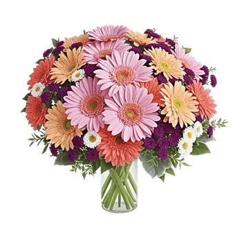 Petal Radiance Bliss