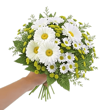 Ivory Garden Grace