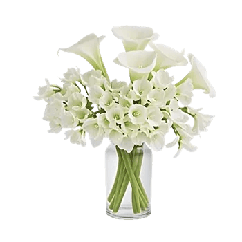 Graceful Lily Display