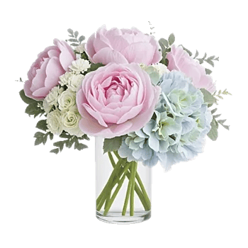 Petal Radiance Bliss