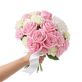 Pastel Pink Roses