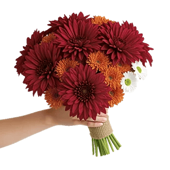 Crimson Blossom Harmony