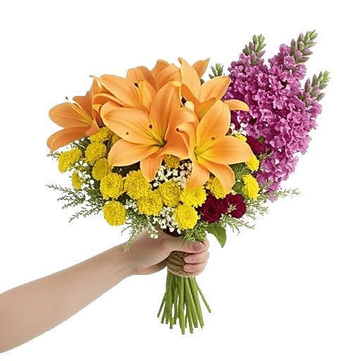 Petal Harmony Bliss