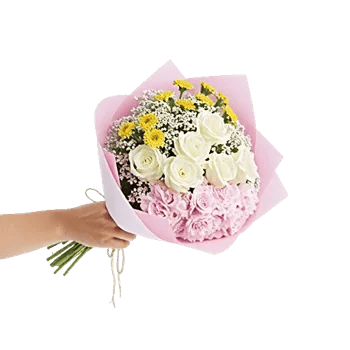 Blossom Harmony Display