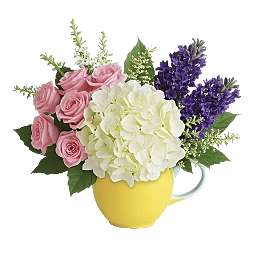 Serene Petal Harmony