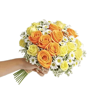 Petal Harmony Bliss