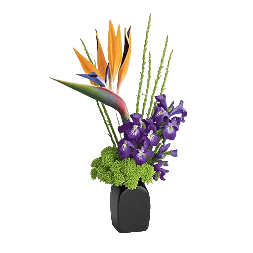 Petal Radiance Bliss