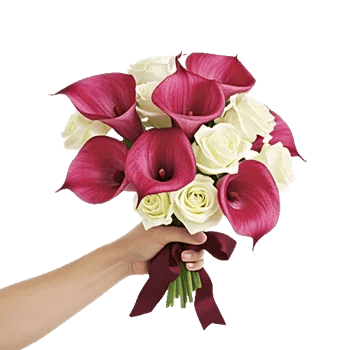 Elegant Calla Lilies