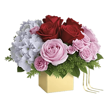 Petal Radiance Bliss