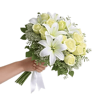 Blossom Harmony Display