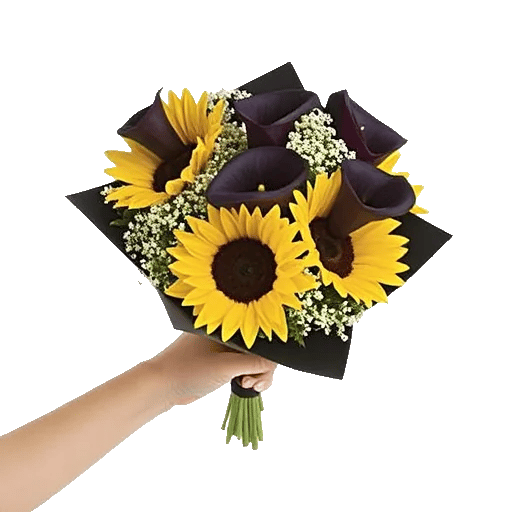 Elegant Calla Lilies