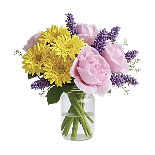Petal Radiance Bliss