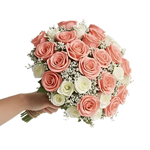 Blushing Rose Symphony