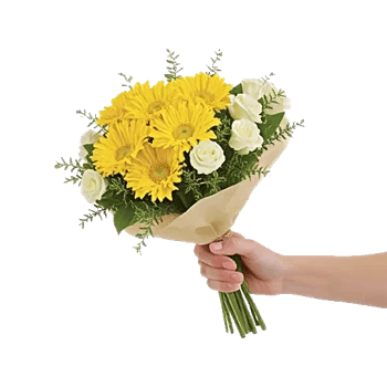 Blossom Harmony Display