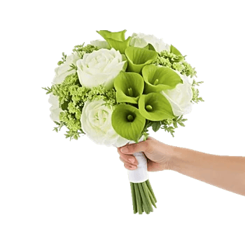 Delicate Petal Cascade