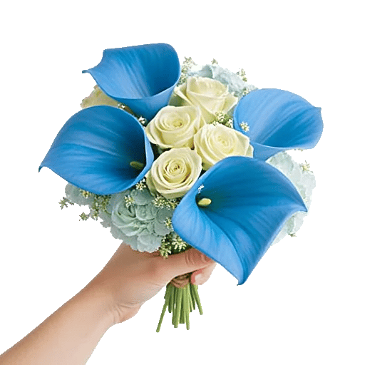 Elegant Calla Lilies