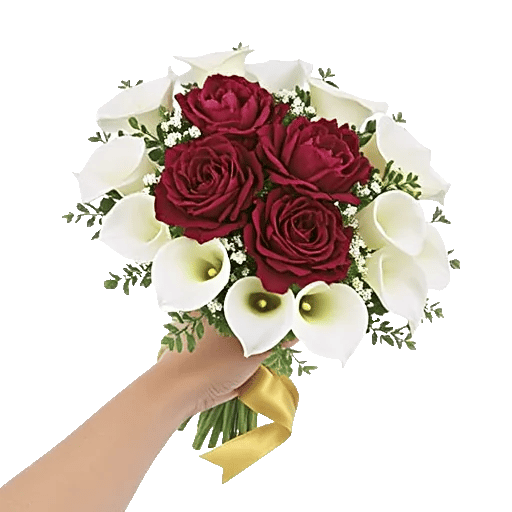 Elegant Calla Lilies