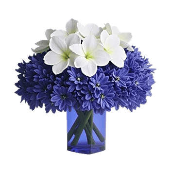 Cobalt Bloom Mix