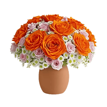 Petal Radiance Bliss