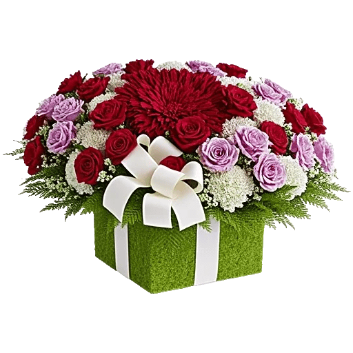 Blossom Grace Spread