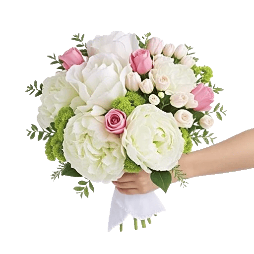 Ivory Blossom Radiance