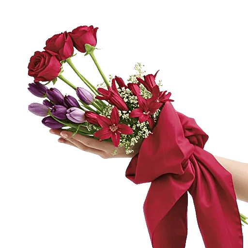 Crimson Rose Elegance