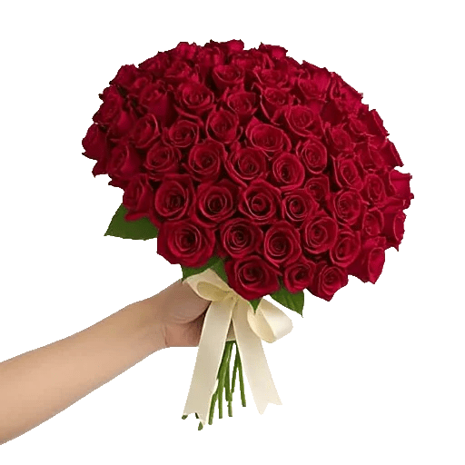 Crimson Rose Elegance