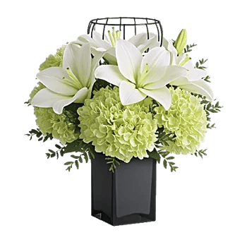 Ivory Blossom Radiance