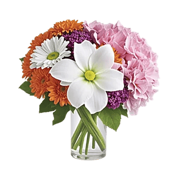 Ivory Blossom Radiance