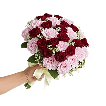 Pastel Pink Roses