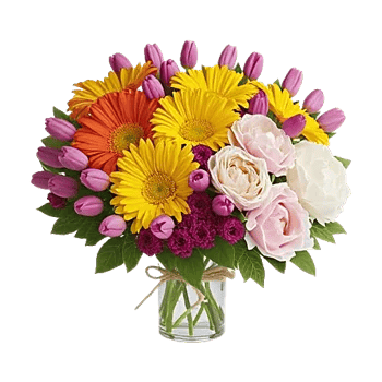 Petal Radiance Bliss