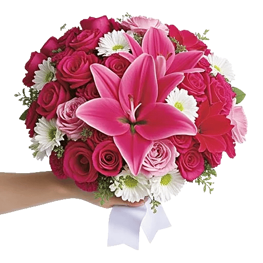 Blushing Rose Symphony