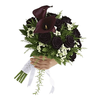 Elegant Calla Lilies
