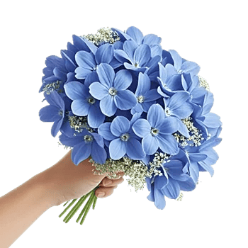 Blossom Petal Serenity