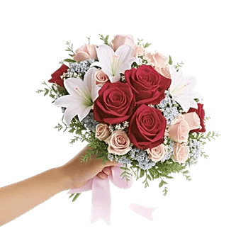 Crimson Rose Elegance